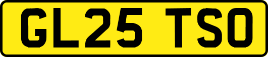 GL25TSO