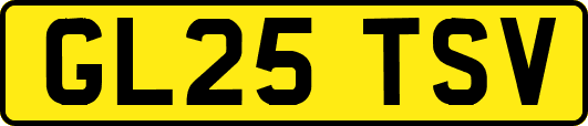 GL25TSV