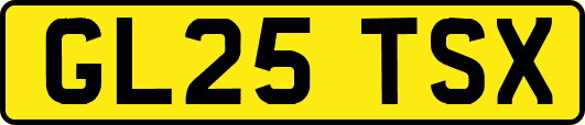 GL25TSX