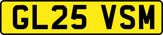 GL25VSM