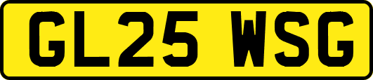 GL25WSG