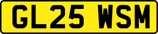 GL25WSM