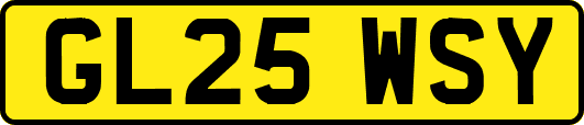 GL25WSY