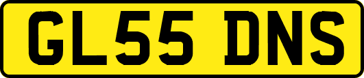 GL55DNS