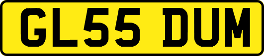GL55DUM