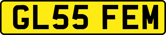 GL55FEM