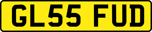 GL55FUD