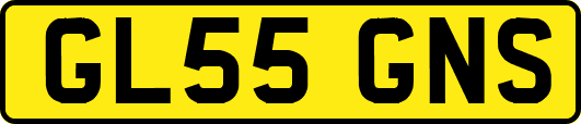 GL55GNS