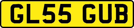 GL55GUB