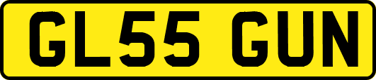 GL55GUN