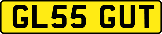 GL55GUT