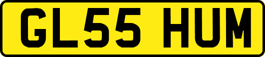 GL55HUM