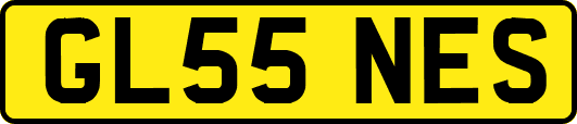 GL55NES