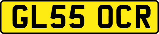 GL55OCR
