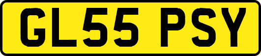 GL55PSY