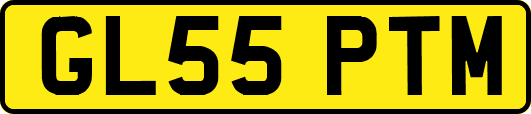 GL55PTM