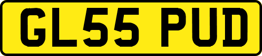 GL55PUD