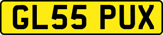 GL55PUX