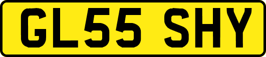 GL55SHY