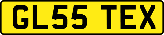 GL55TEX