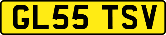 GL55TSV
