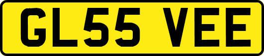 GL55VEE