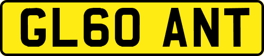 GL60ANT