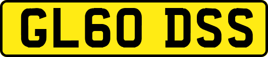 GL60DSS