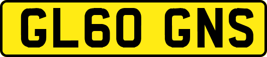 GL60GNS