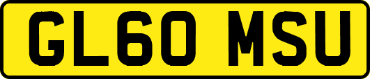 GL60MSU