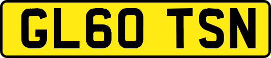 GL60TSN