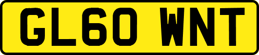 GL60WNT