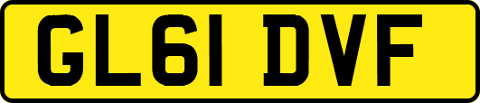 GL61DVF