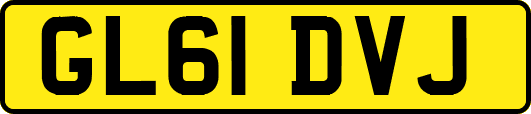 GL61DVJ