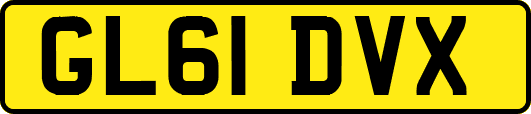 GL61DVX