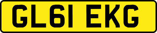 GL61EKG