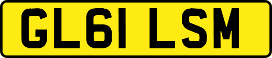 GL61LSM