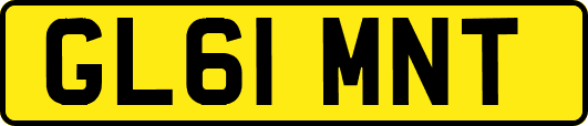 GL61MNT