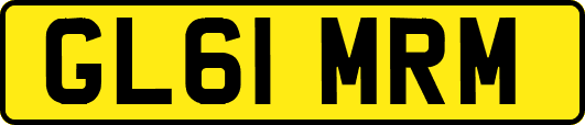 GL61MRM