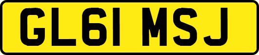 GL61MSJ