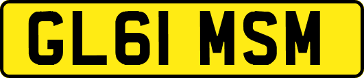 GL61MSM