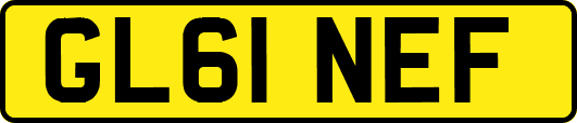 GL61NEF