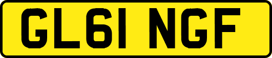GL61NGF