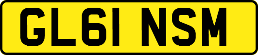 GL61NSM
