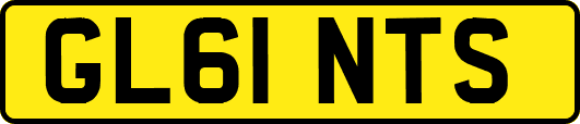 GL61NTS