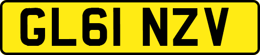 GL61NZV
