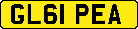 GL61PEA