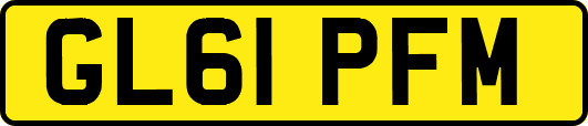 GL61PFM