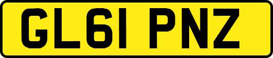 GL61PNZ