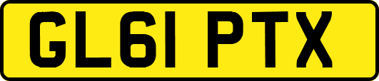 GL61PTX